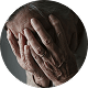 백내장